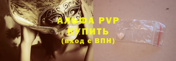 крисы Балахна