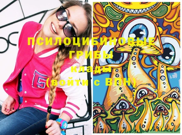 крисы Балахна