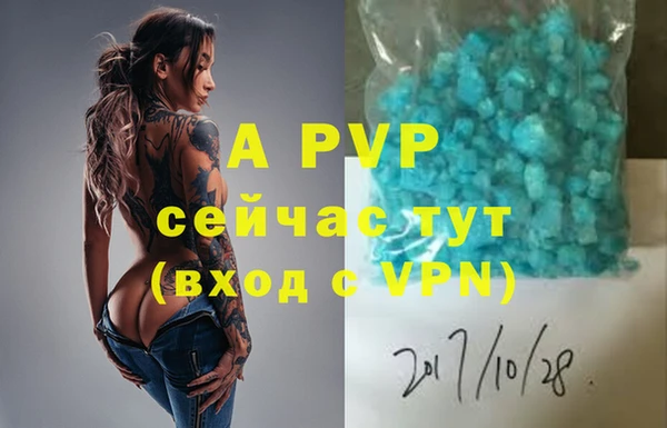 крисы Балахна