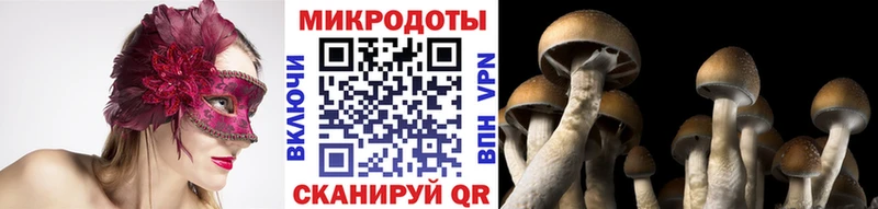 МЕГА маркетплейс  Петров Вал  Псилоцибиновые грибы Psilocybe 