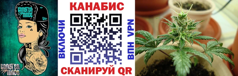Бошки марихуана планчик  Петров Вал 
